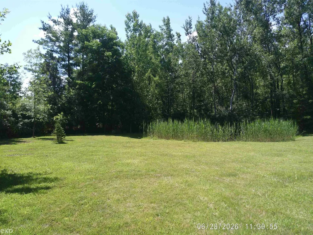 4707 Dixon Road Juniata Township MI 48723