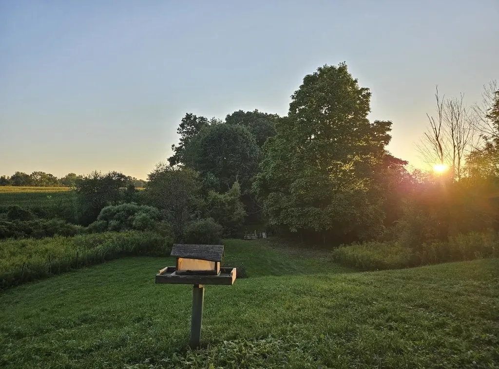 1187 Parks Road Wales Township MI 48027