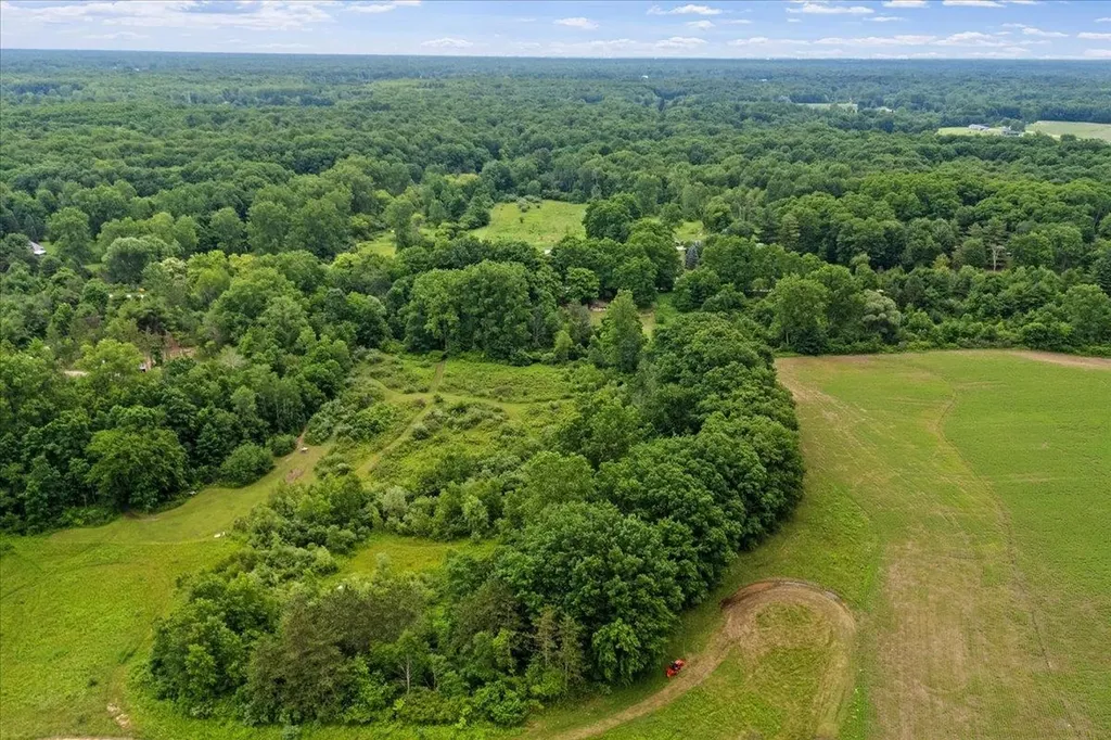 1187 Parks Road Wales Township MI 48027