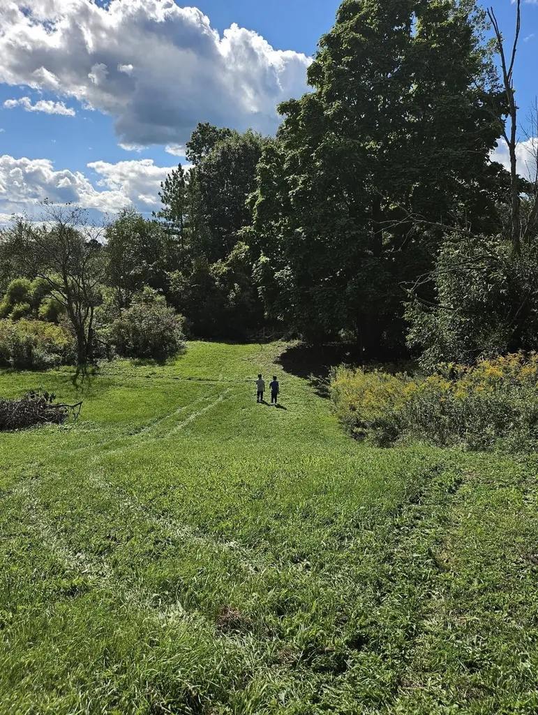 1187 Parks Road Wales Township MI 48027
