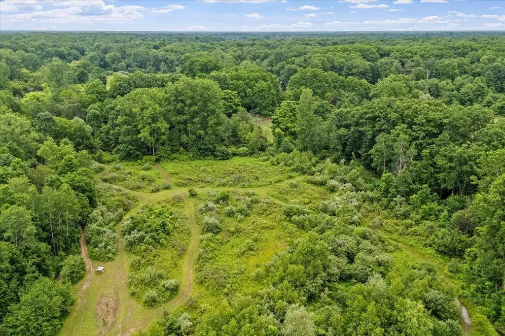 1187 Parks Road Wales Township MI 48027