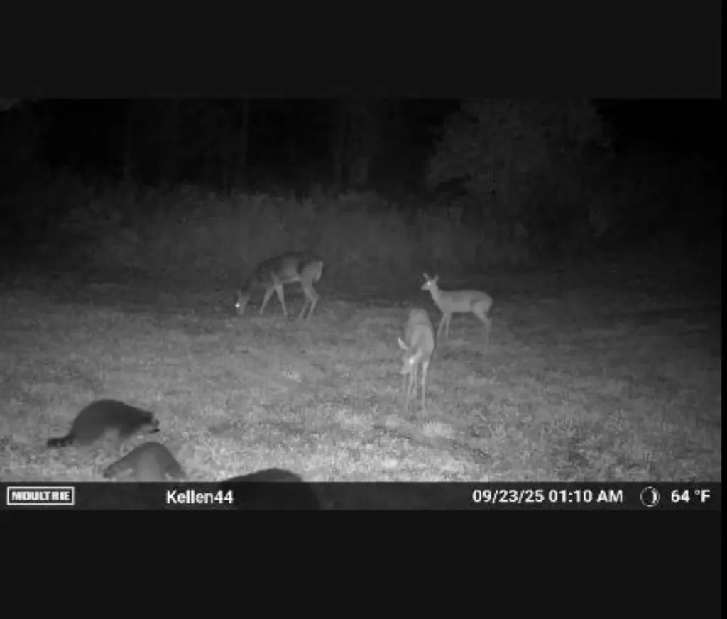 1187 Parks Road Wales Township MI 48027