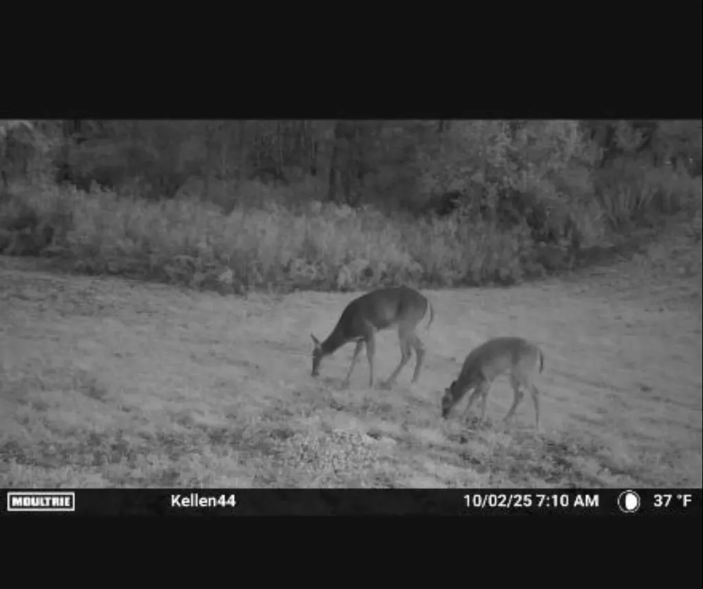 1187 Parks Road Wales Township MI 48027