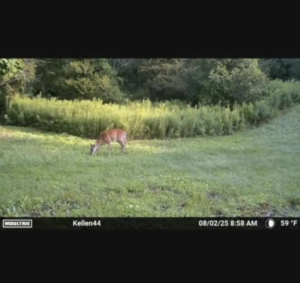 1187 Parks Road Wales Township MI 48027