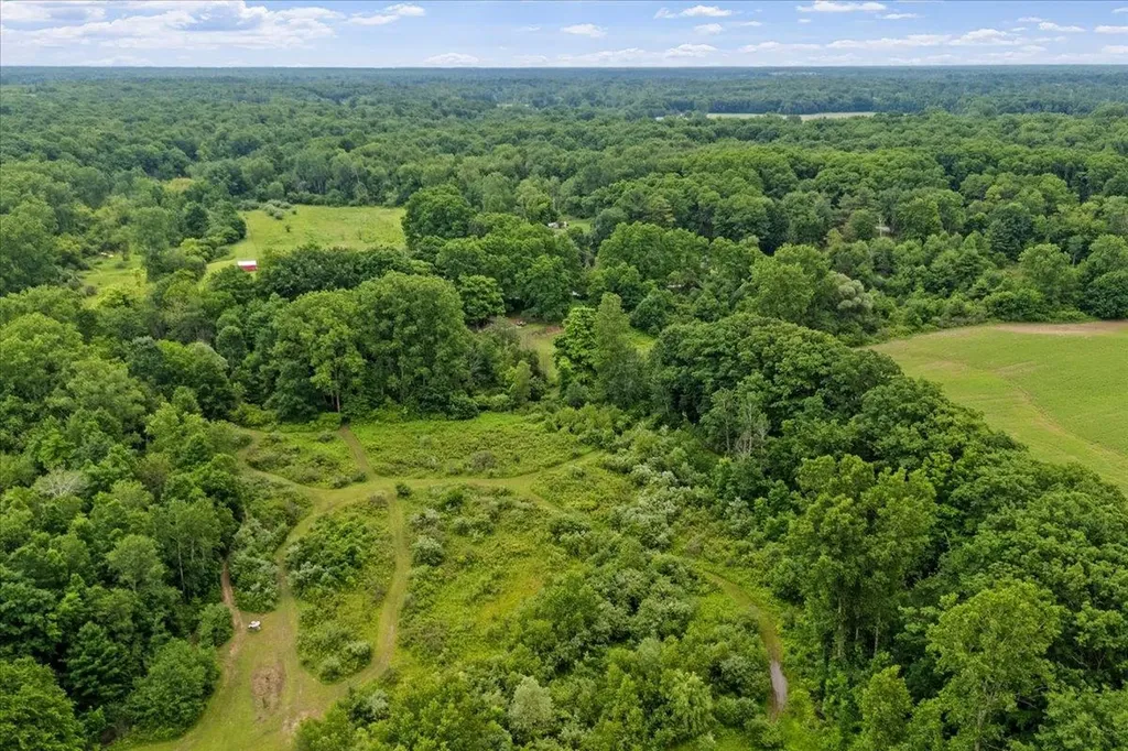 1187 Parks Road Wales Township MI 48027
