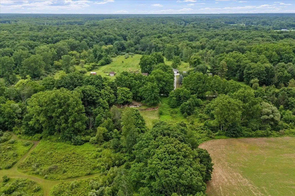 1187 Parks Road Wales Township MI 48027