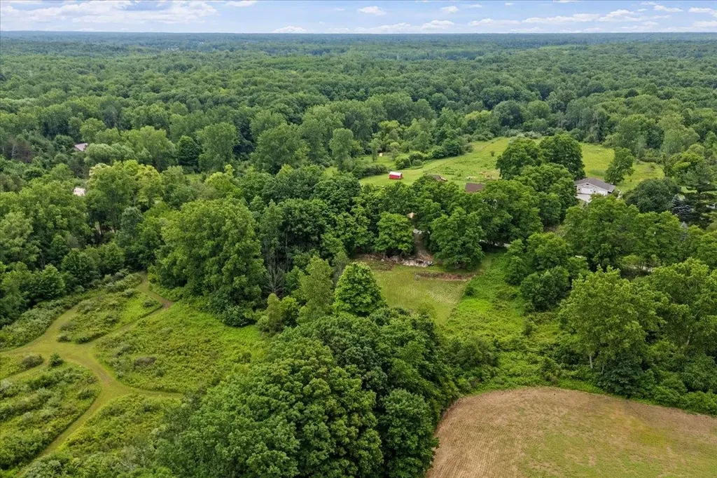 1187 Parks Road Wales Township MI 48027