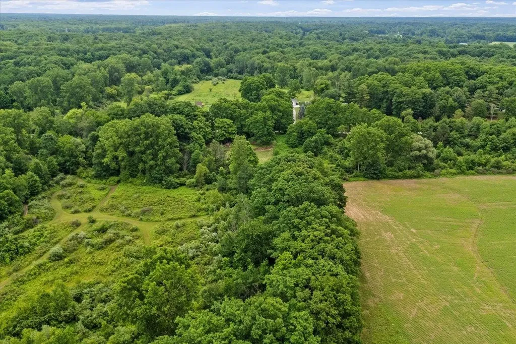 1187 Parks Road Wales Township MI 48027