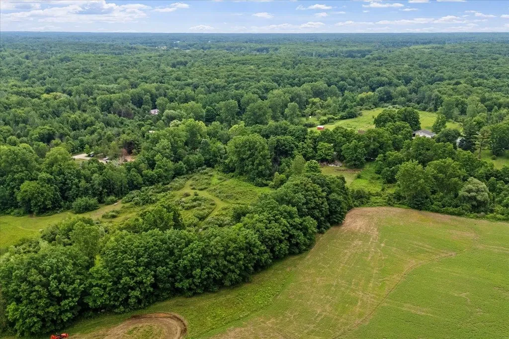 1187 Parks Road Wales Township MI 48027
