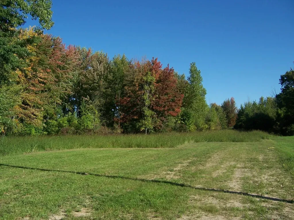 11172 Dunn Road Riley Township MI 48091