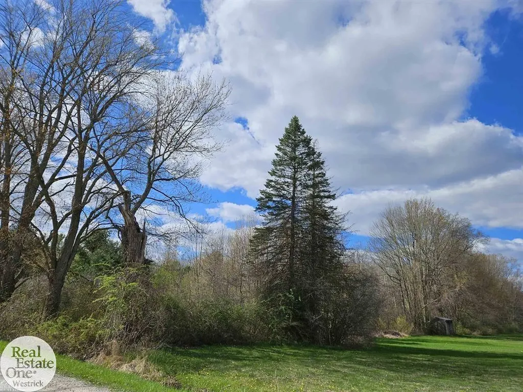 0 Genaw Road Cottrellville Township MI 48039