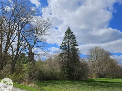 0 Genaw Road Cottrellville Township MI 48039