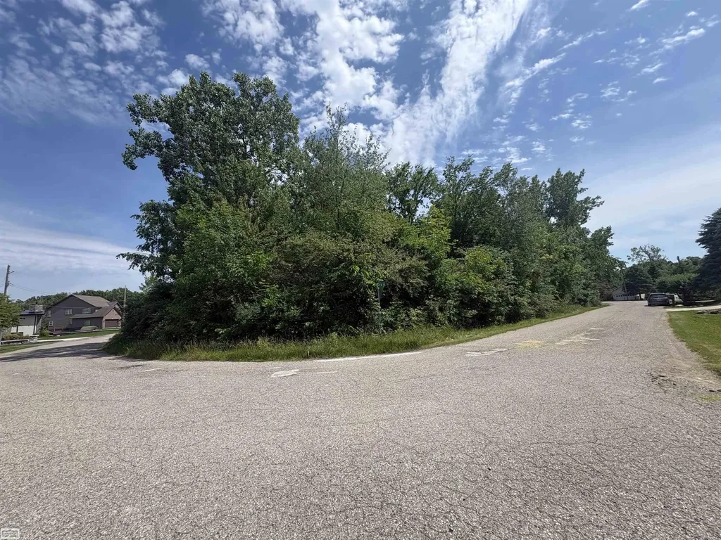 V/l N Heron Drive Elba Township MI 48446