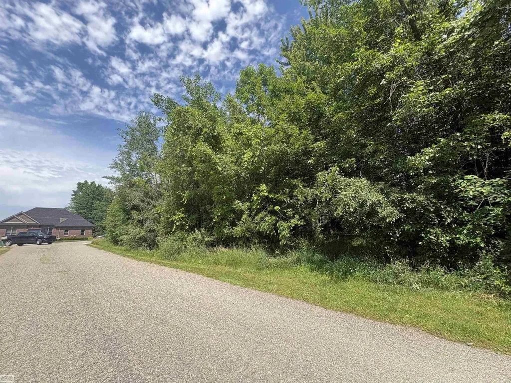 V/l N Heron Drive Elba Township MI 48446