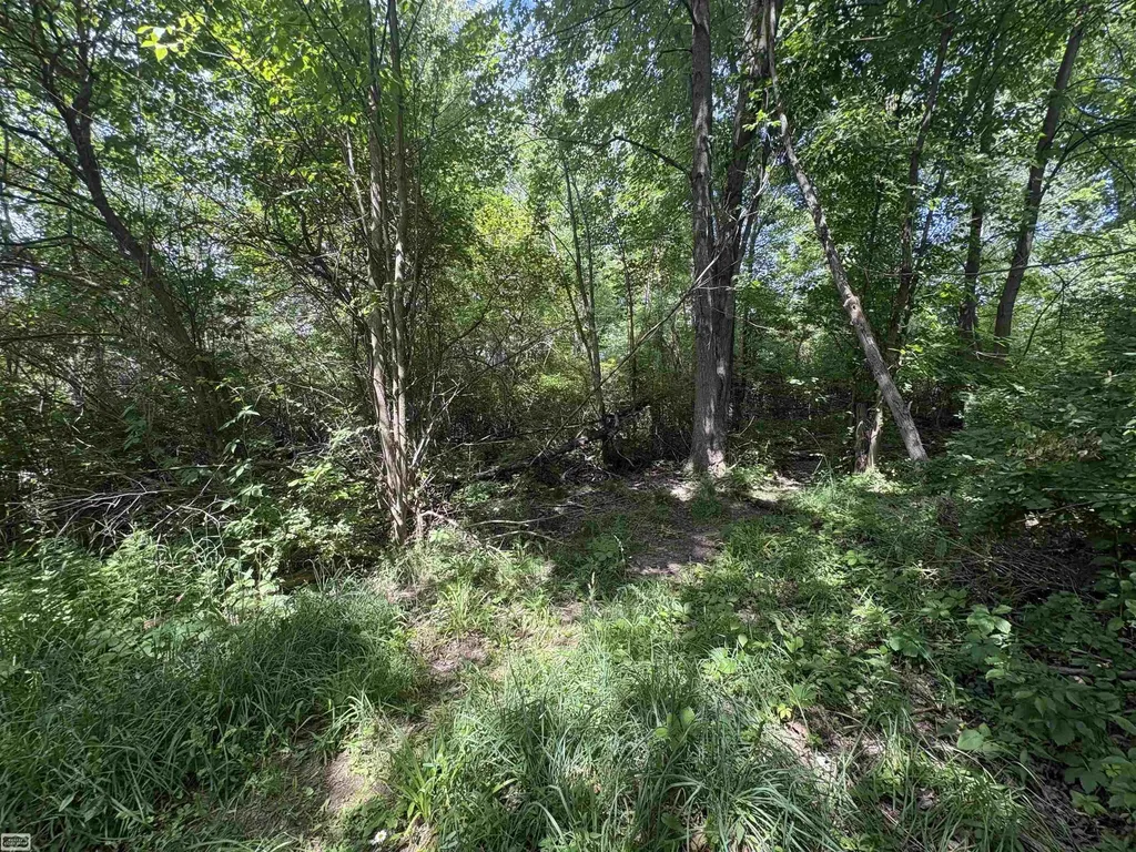 V/l N Heron Drive Elba Township MI 48446
