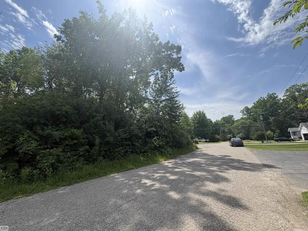 V/l N Heron Drive Elba Township MI 48446