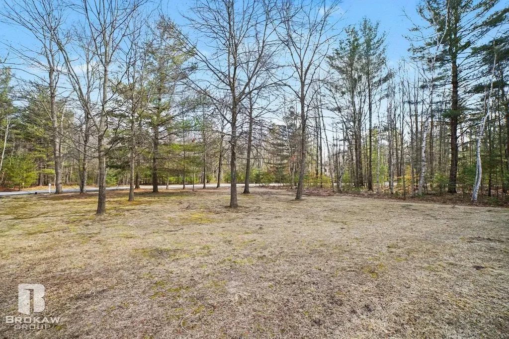 2910 Ginger Drive Coleman City MI 48618