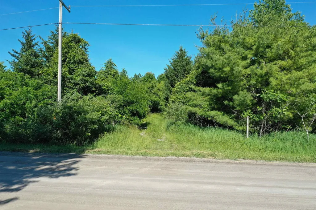 1VL Babcock Road Worth Township MI 48450