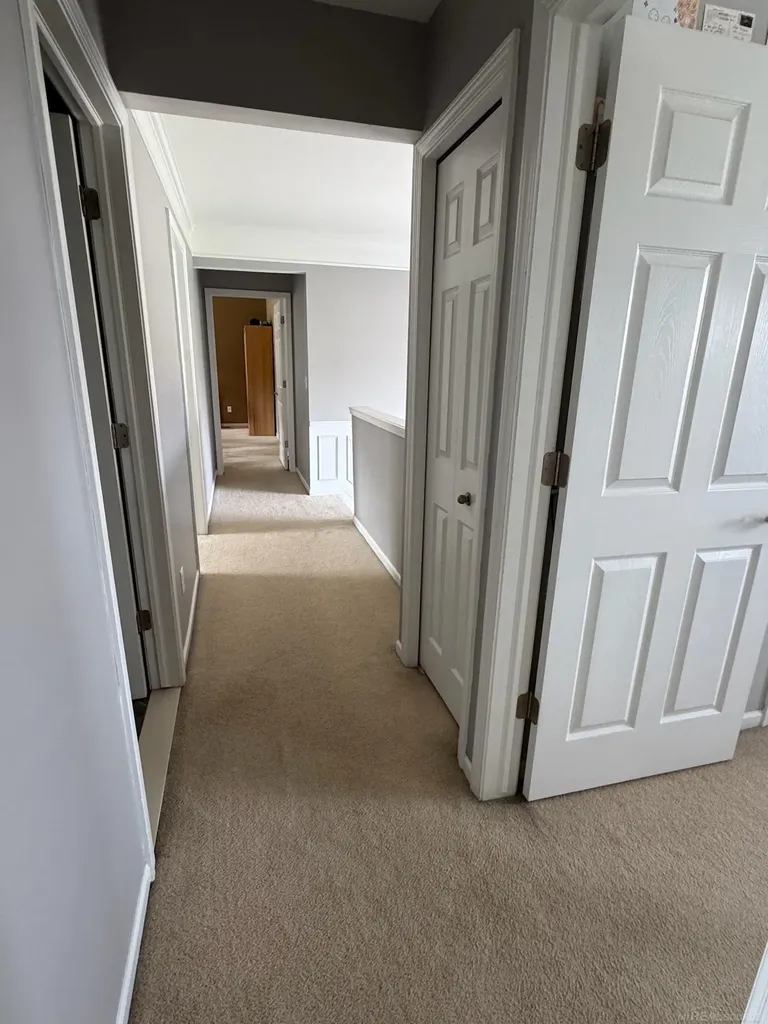48805 Rockefeller Drive Canton Charter Township MI 48188