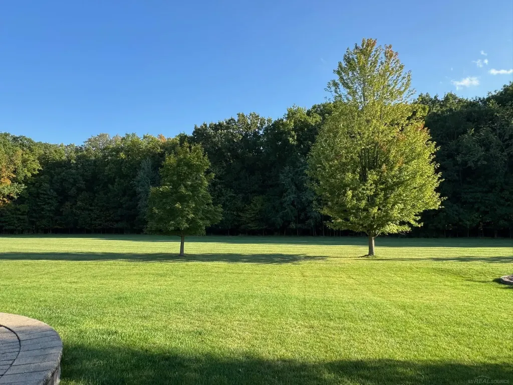 48805 Rockefeller Drive Canton Charter Township MI 48188