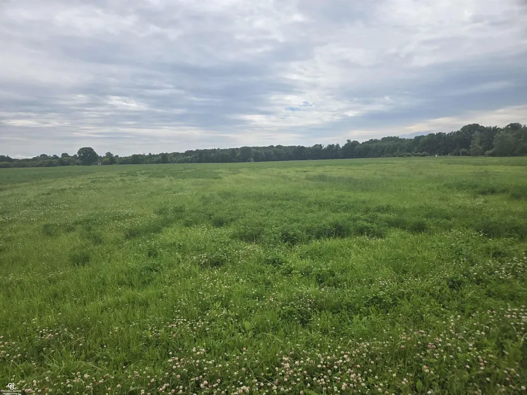 0 Imlay City Vl Road Kenockee Township MI 48006
