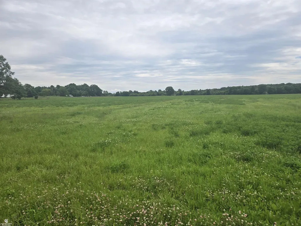 0 Imlay City Vl Road Kenockee Township MI 48006