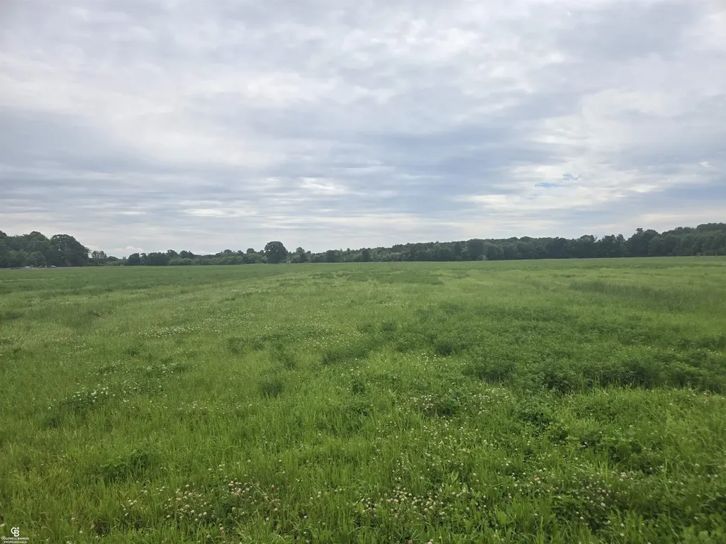0 Imlay City Vl Road Kenockee Township MI 48006