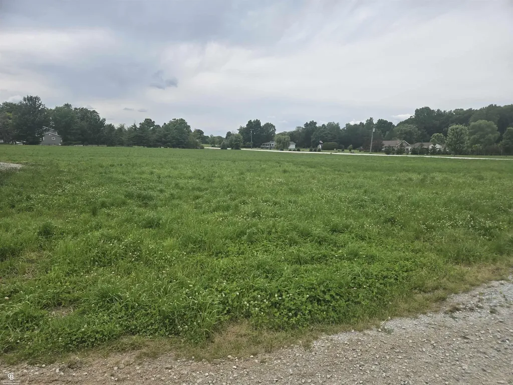 0 Imlay City Vl Road Kenockee Township MI 48006