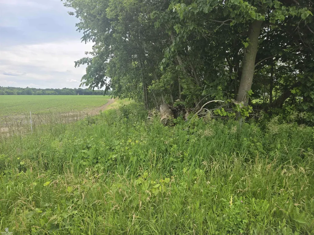 0 Imlay City Vl Road Kenockee Township MI 48006