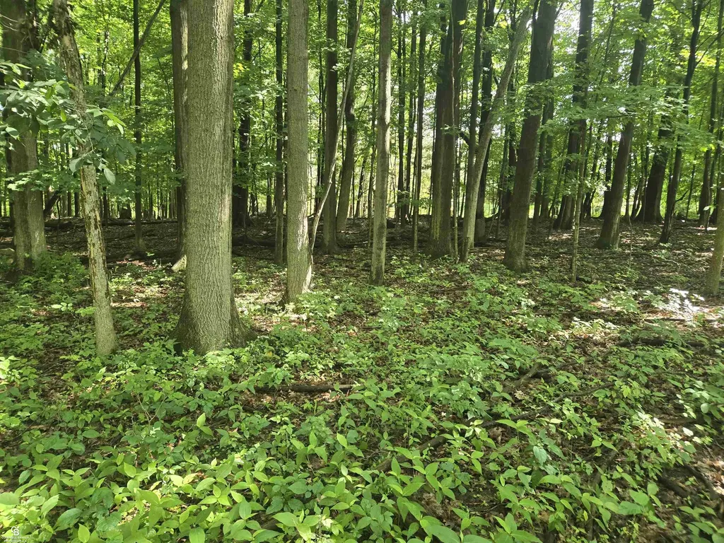5767 Emmett Vl Road Kenockee Township MI 48022