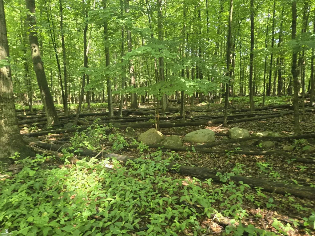 5767 Emmett Vl Road Kenockee Township MI 48022