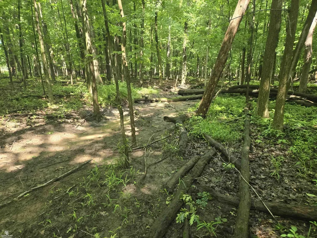 5767 Emmett Vl Road Kenockee Township MI 48022