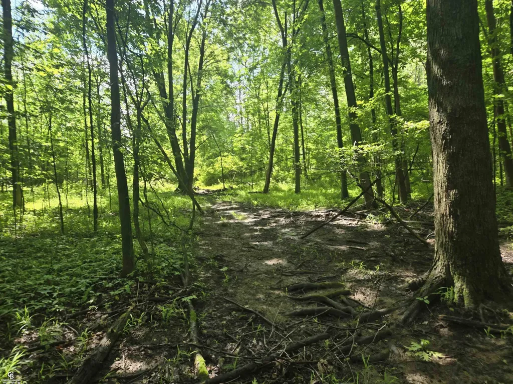 5767 Emmett Vl Road Kenockee Township MI 48022