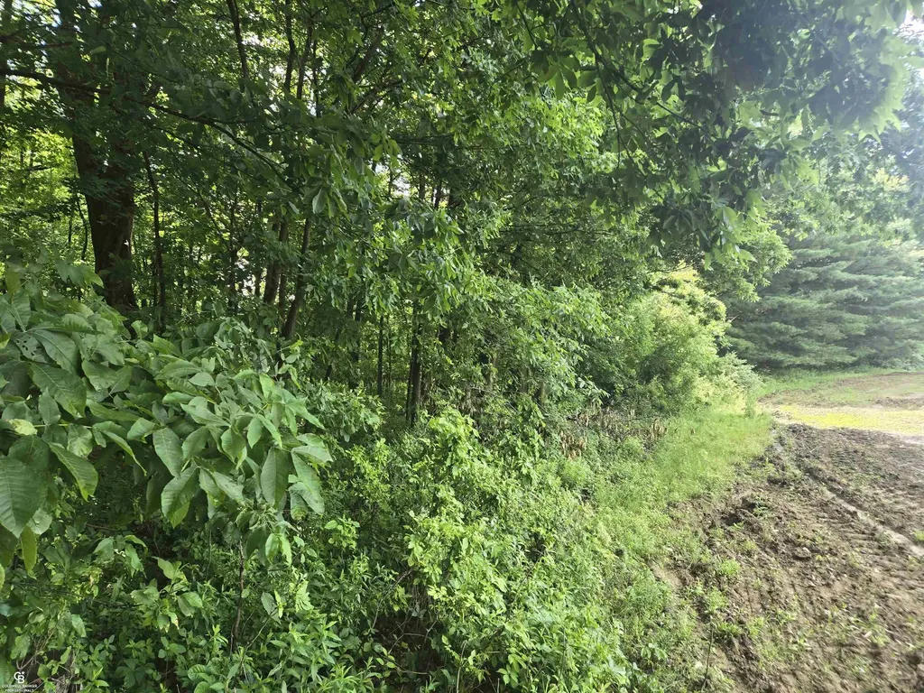 5767 Emmett Vl Road Kenockee Township MI 48022