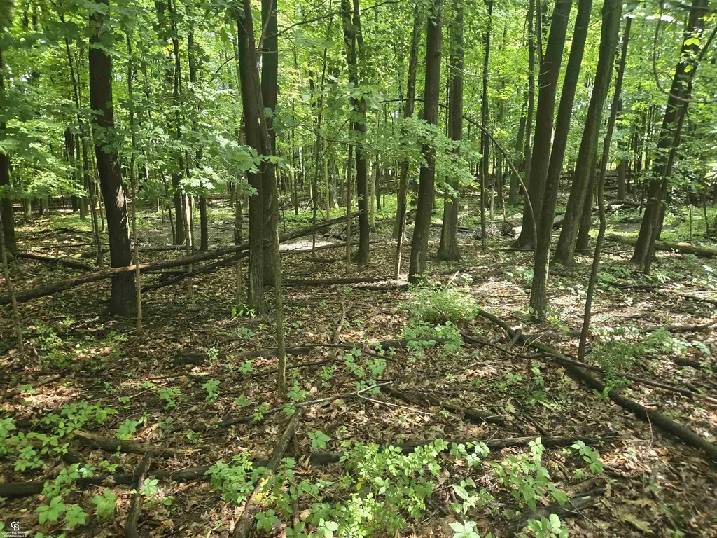 5767 Emmett Vl Road Kenockee Township MI 48022