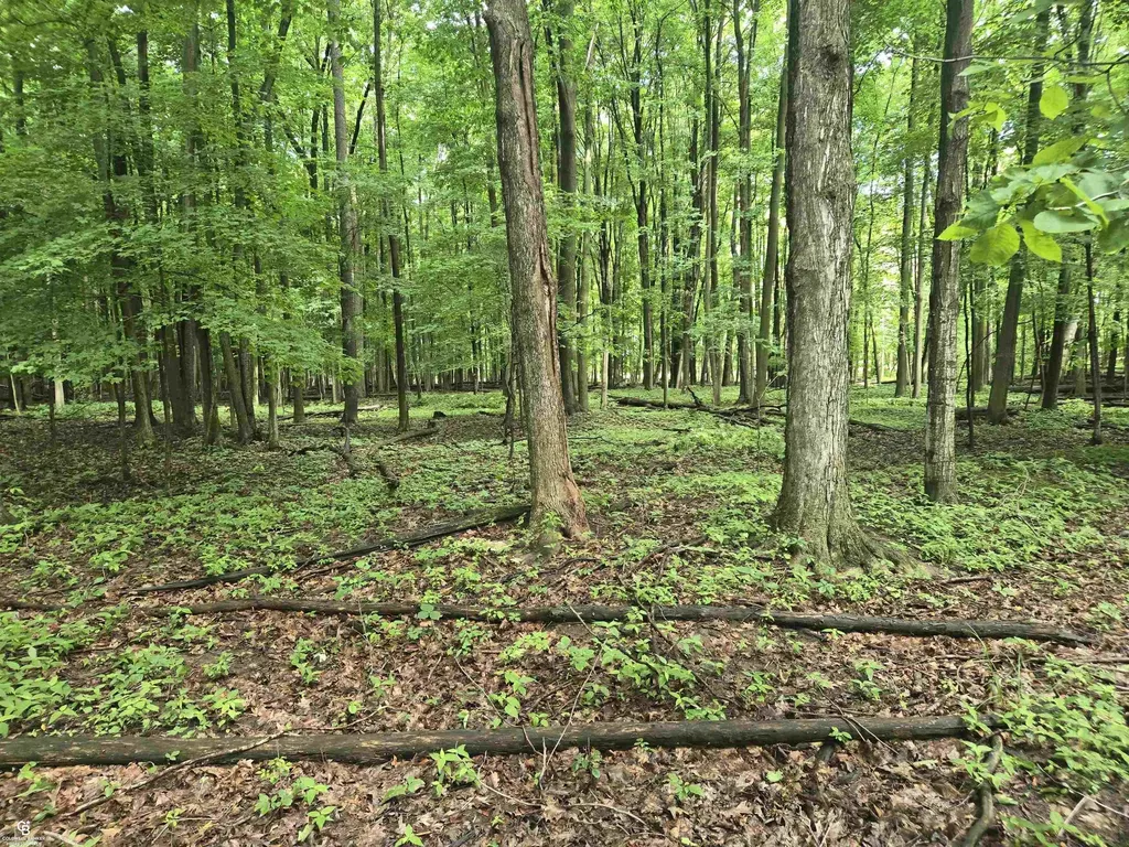 5767 Emmett Vl Road Kenockee Township MI 48022