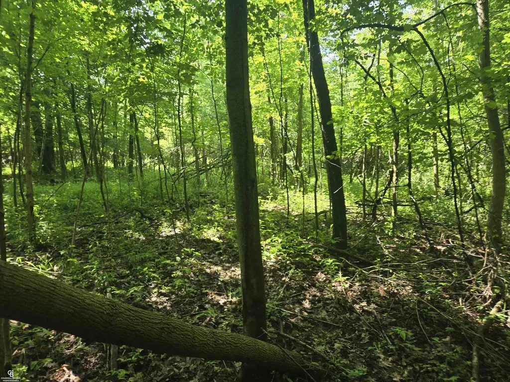 5767 Emmett Vl Road Kenockee Township MI 48022
