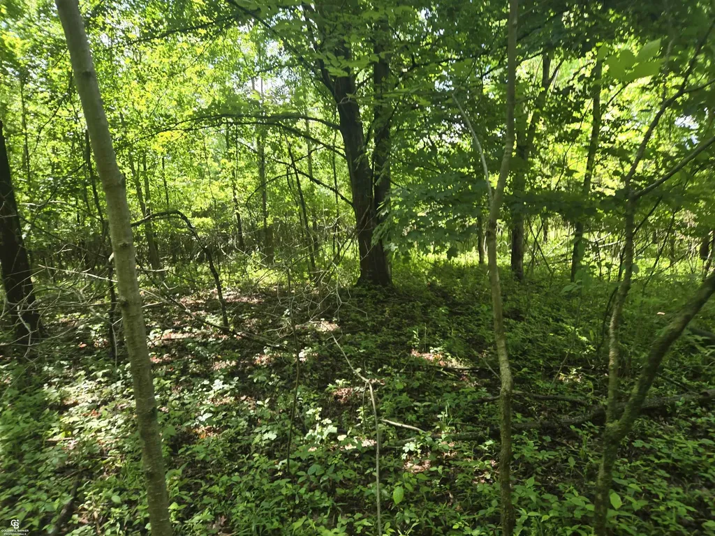 5767 Emmett Vl Road Kenockee Township MI 48022