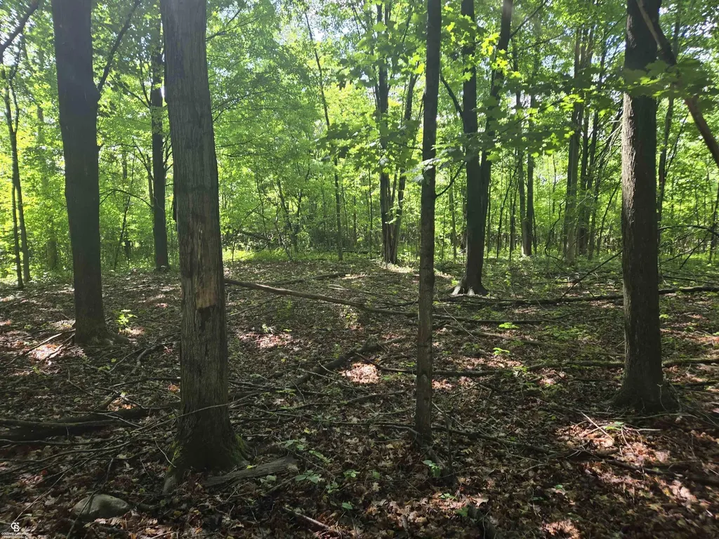 5767 Emmett Vl Road Kenockee Township MI 48022