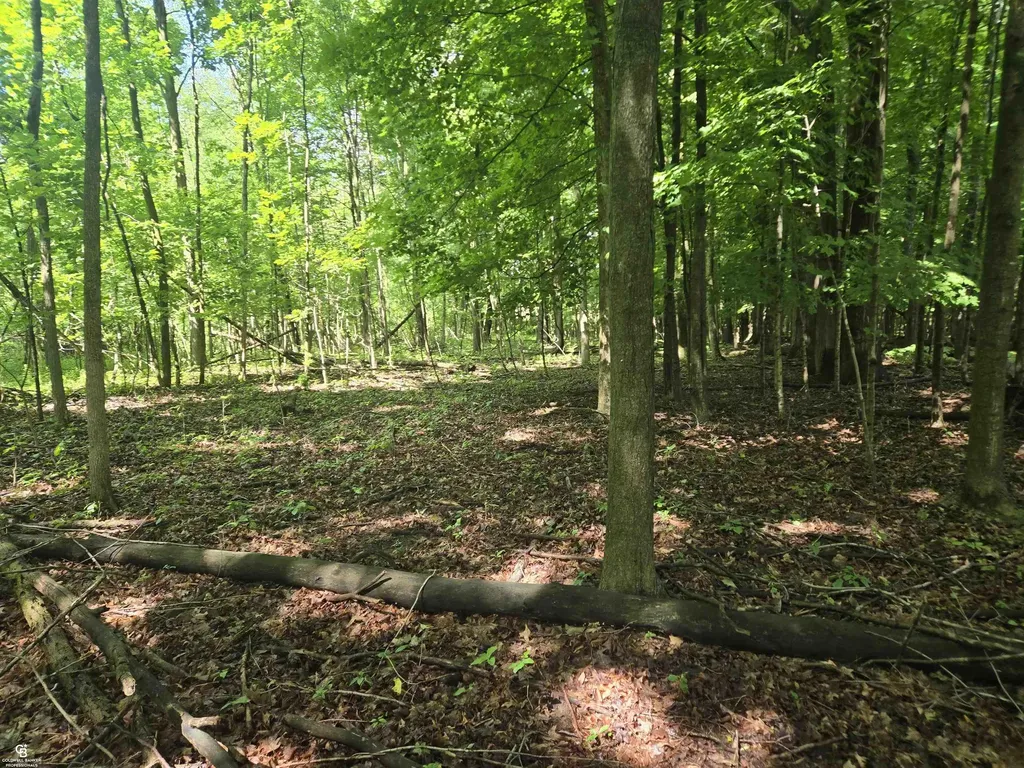 5767 Emmett Vl Road Kenockee Township MI 48022