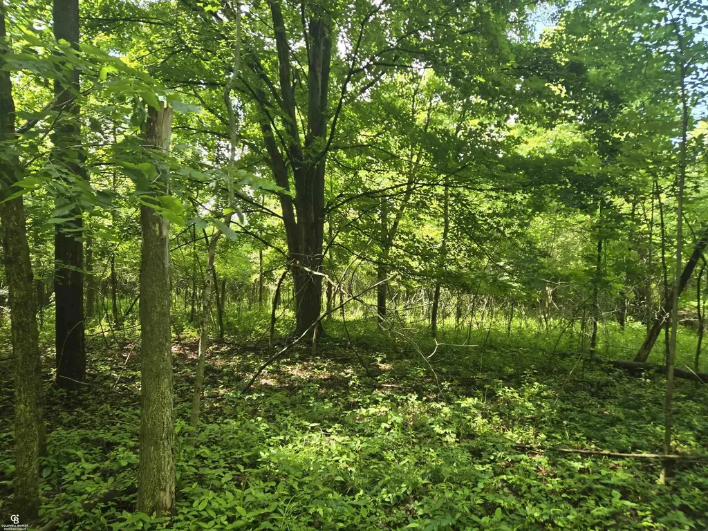 5767 Emmett Vl Road Kenockee Township MI 48022