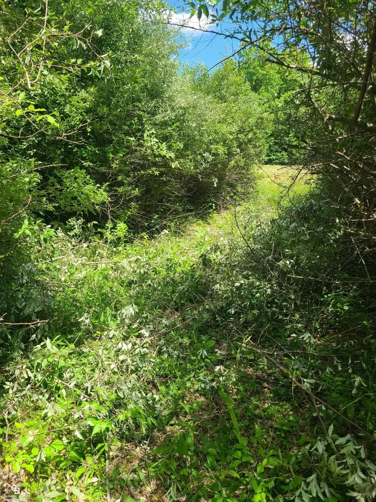 5767 Emmett Vl Road Kenockee Township MI 48022