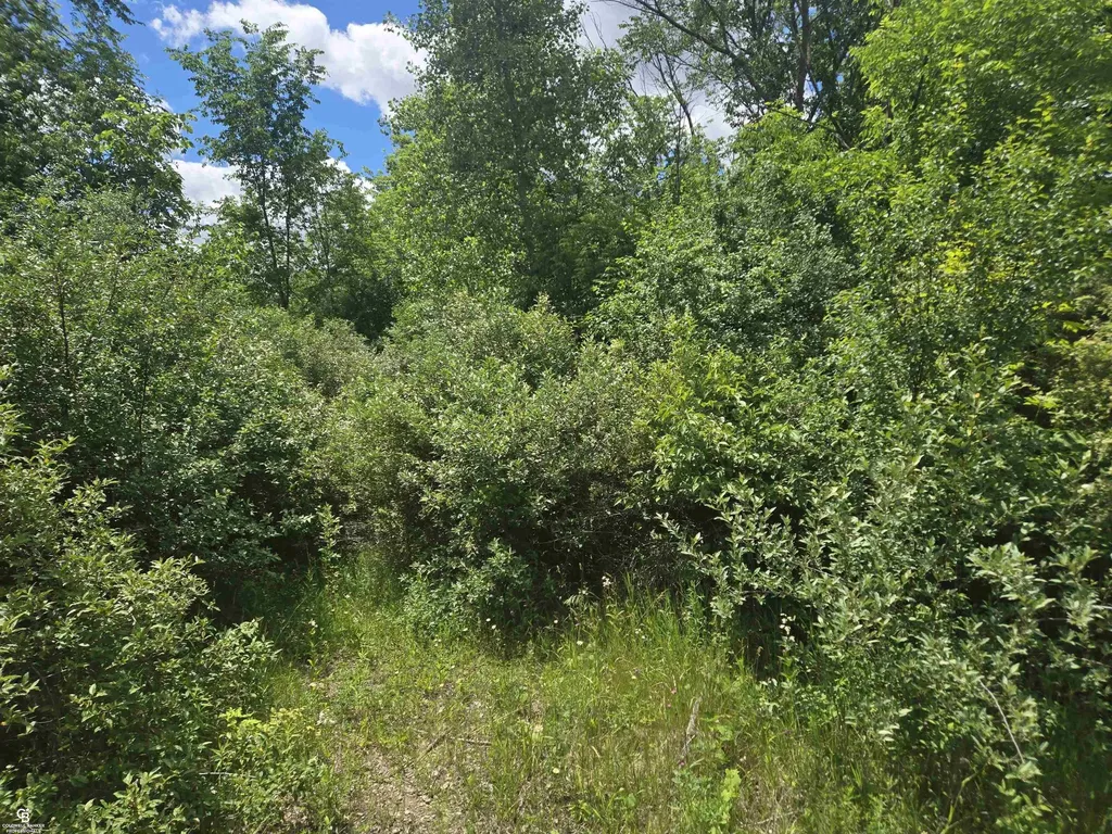 5767 Emmett Vl Road Kenockee Township MI 48022