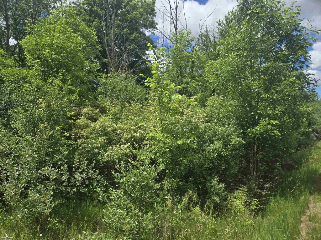 5767 Emmett Vl Road Kenockee Township MI 48022