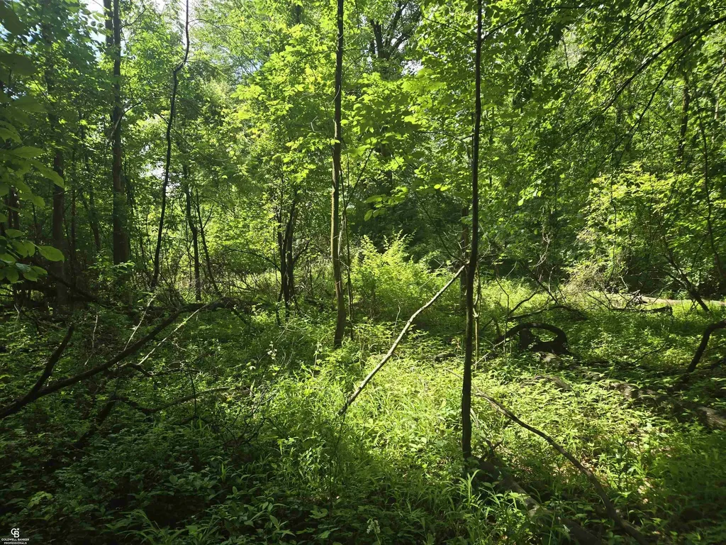 5767 Emmett Vl Road Kenockee Township MI 48022