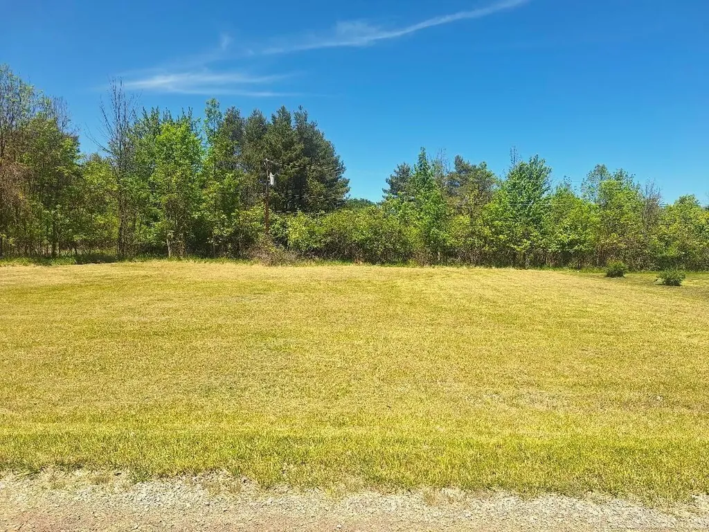Lot 7 Avalon Circle Lexington Township MI 48450
