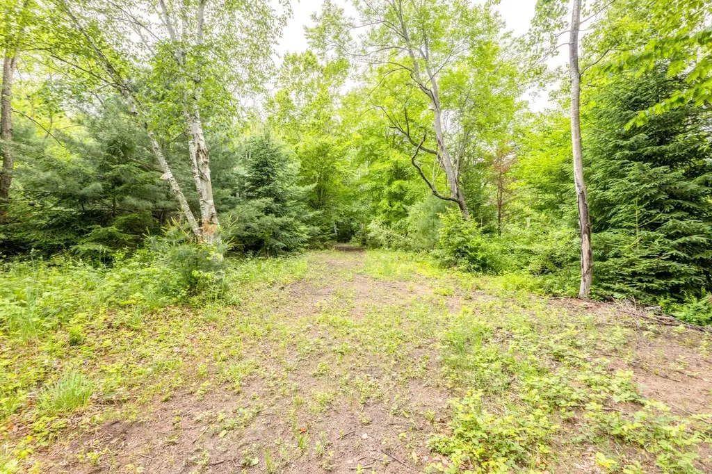 4484 Lakeshore Road Lexington Township MI 48450