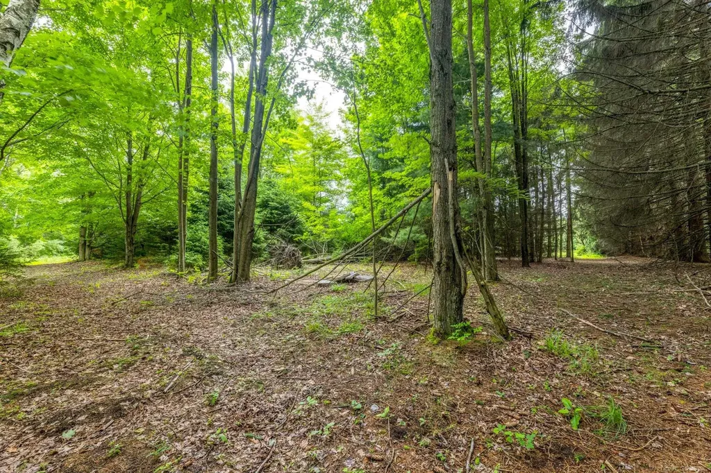 4484 Lakeshore Road Lexington Township MI 48450