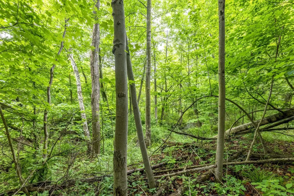4484 Lakeshore Road Lexington Township MI 48450
