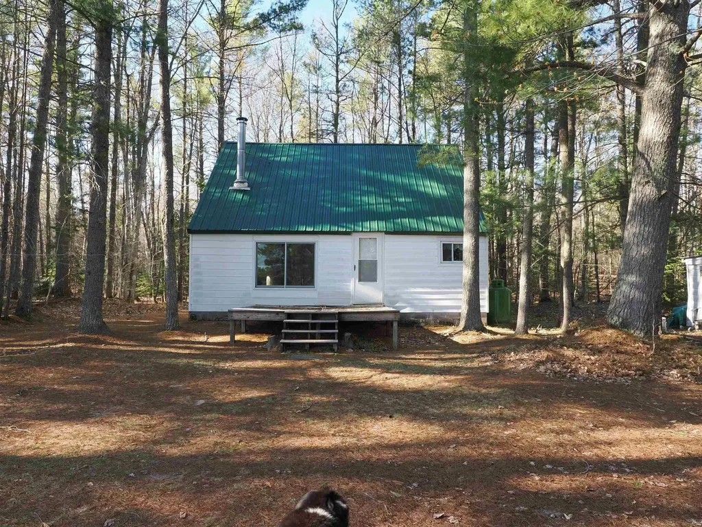 6035 W Sadlers Loop Seney Township MI 49883